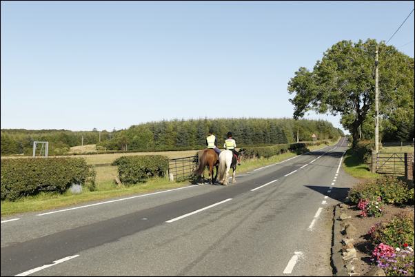 Horse riding near the farm