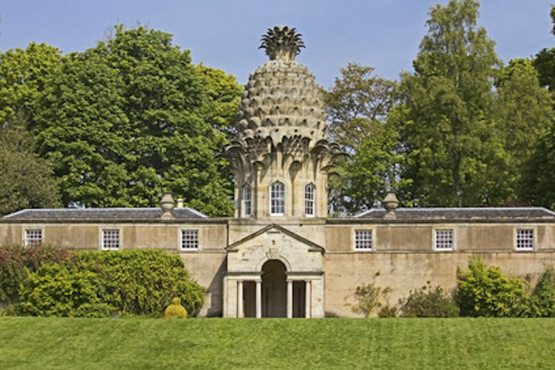 The Pineapple folly